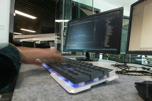 大數(shù)據(jù)的弄潮兒 計(jì)算機(jī)軟件開發(fā)的變革與機(jī)遇